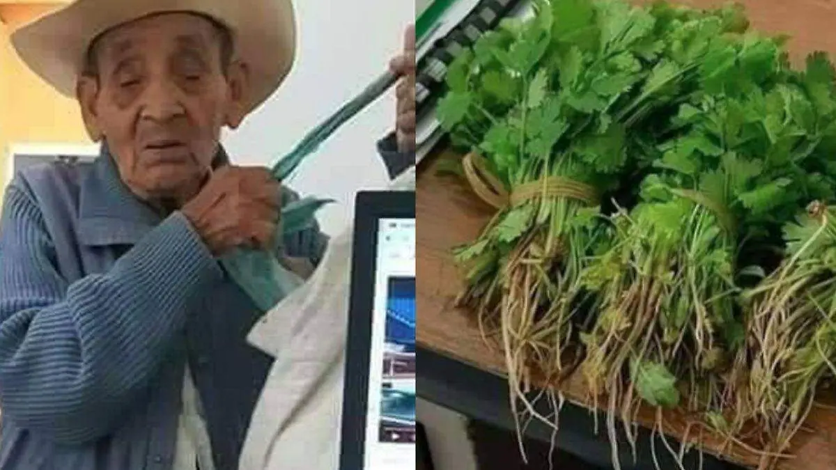 02 abuelito paga con cilantro